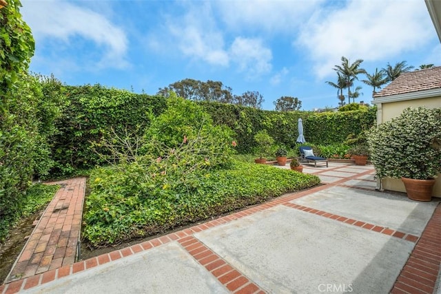 27 S La Senda Dr, Laguna Beach, CA 92651 - view of yard featuring a patio area