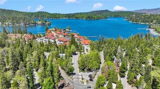 28720 Zion Dr, Lake Arrowhead, CA 92352 - bird's eye view of a heavily wooded area and a large body of water