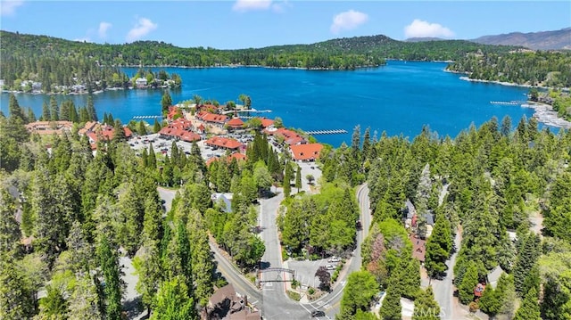 28720 Zion Dr, Lake Arrowhead, CA 92352 - drone / aerial view of a forest and a large body of water