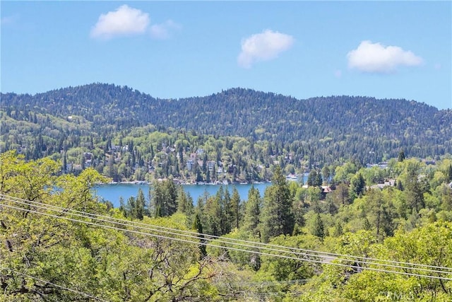 28720 Zion Dr, Lake Arrowhead, CA 92352 - mountain view featuring a heavily wooded area and a large body of water