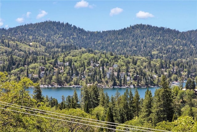 28720 Zion Dr, Lake Arrowhead, CA 92352 - water view with a heavily wooded area and a mountain backdrop