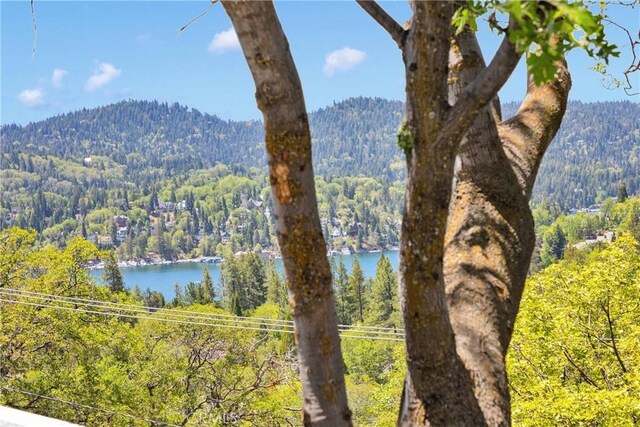 28720 Zion Dr, Lake Arrowhead, CA 92352 - water view featuring a heavily wooded area and a mountainous background