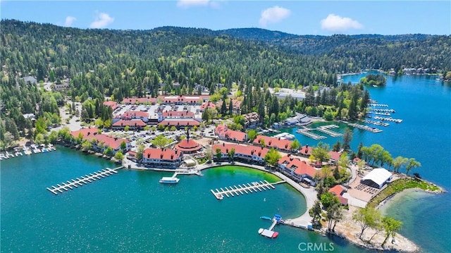 28720 Zion Dr, Lake Arrowhead, CA 92352 - drone / aerial view of a large body of water