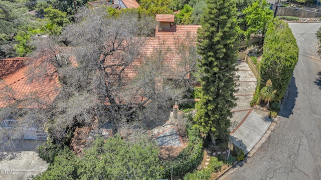 684 Orange Dr, Sierra Madre, CA 91024 - photo 50