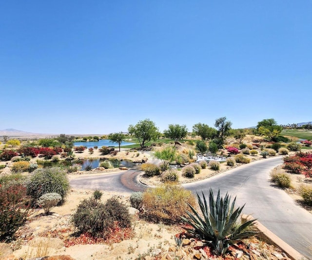1831 Hunter Dr, Borrego Springs, CA 92004 - photo 58