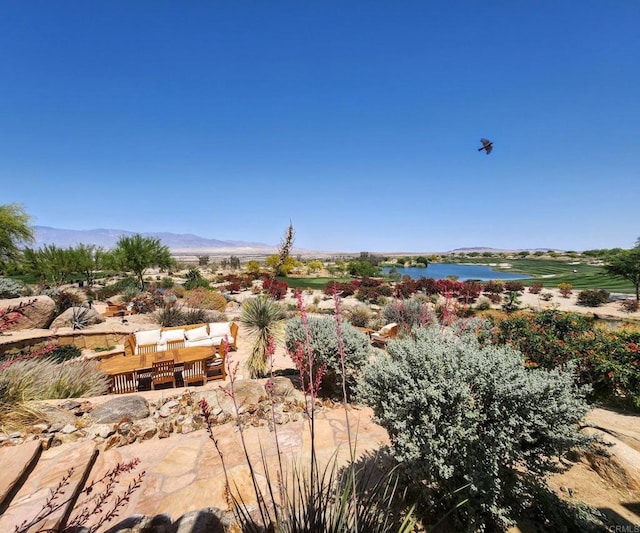1831 Hunter Dr, Borrego Springs, CA 92004 - photo 59