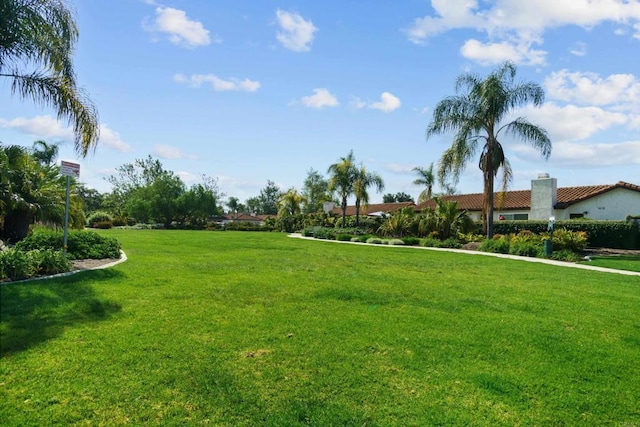 241 Saguaro Pl, Oceanside, CA 92057 - view of property's community featuring a lawn