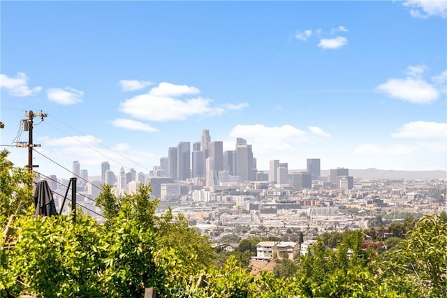 3117 Amethyst St, Los Angeles, CA 90032 - skyline view