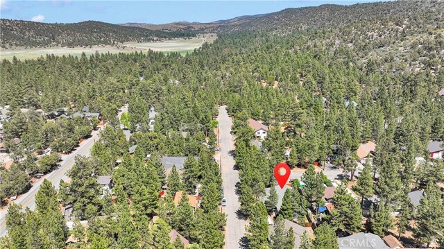 1041 Pine Ln, Big Bear City, CA 92314 - photo 29
