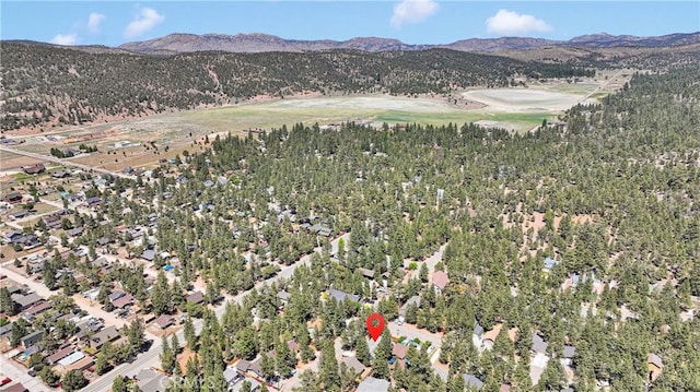 1041 Pine Ln, Big Bear City, CA 92314 - photo 36