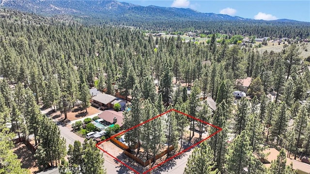 1041 Pine Ln, Big Bear City, CA 92314 - photo 32