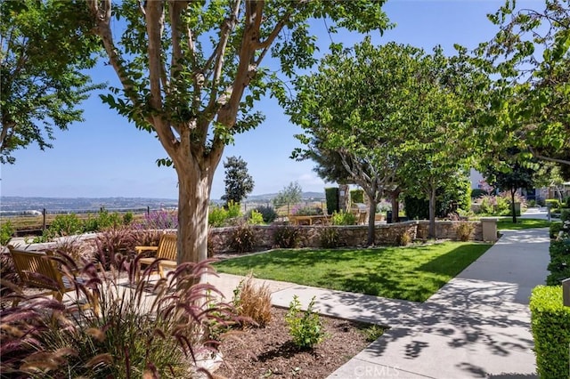 45 Brownstone Way, Aliso Viejo, CA 92656 - surrounding community featuring a lawn