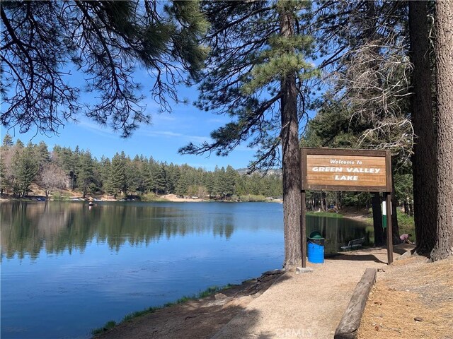 762 Esquimoux Dr, Green Valley Lake, CA 92341 - dock featuring a water view and a forest view
