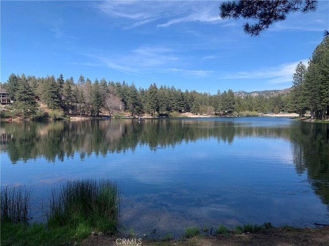 762 Esquimoux Dr, Green Valley Lake, CA 92341 - water view with a heavily wooded area