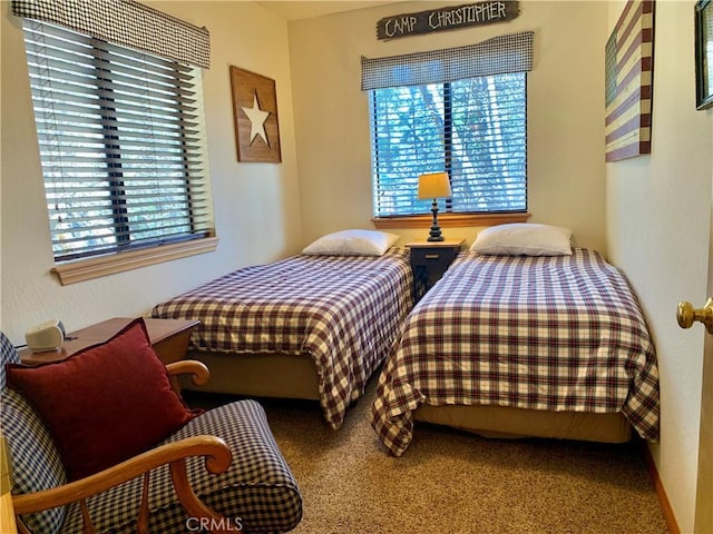 762 Esquimoux Dr, Green Valley Lake, CA 92341 - view of carpeted bedroom