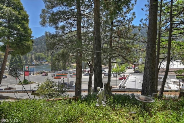 24141 Zell Ct, Crestline, CA 92325 - view of home's community with a water and mountain view
