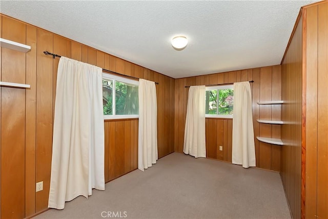 24141 Zell Ct, Crestline, CA 92325 - unfurnished room with carpet floors, wood walls, and a textured ceiling