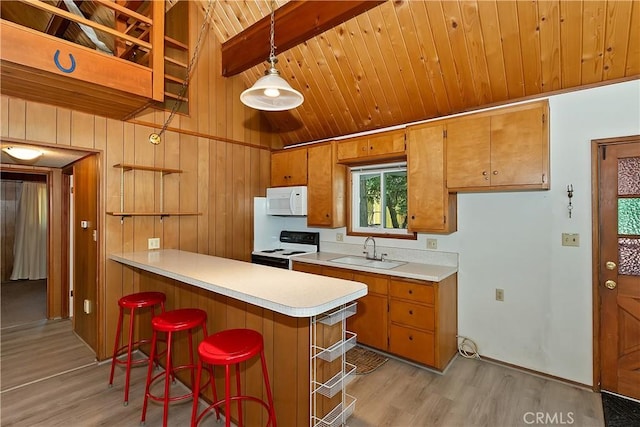 24141 Zell Ct, Crestline, CA 92325 - kitchen featuring electric range oven, a sink, white microwave, light wood-style floors, and light countertops