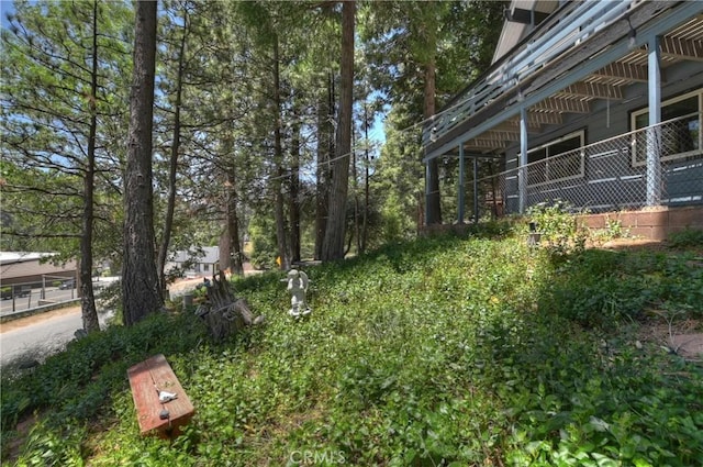 24141 Zell Ct, Crestline, CA 92325 - view of yard