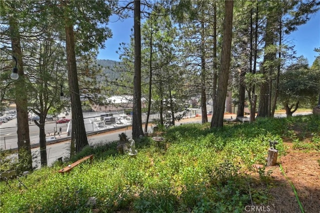 24141 Zell Ct, Crestline, CA 92325 - view of yard