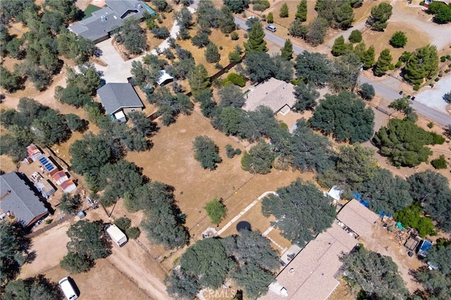 3113 Raccoon Dr, Lake Isabella, CA 93240 - photo 51