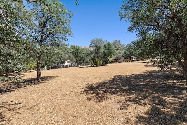 3113 Raccoon Dr, Lake Isabella, CA 93240 - photo 42