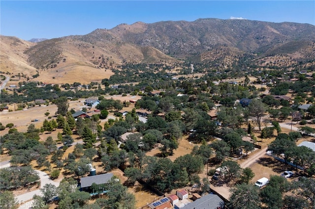 3113 Raccoon Dr, Lake Isabella, CA 93240 - photo 50