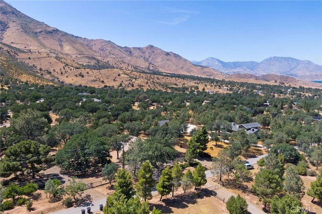 3113 Raccoon Dr, Lake Isabella, CA 93240 - photo 49