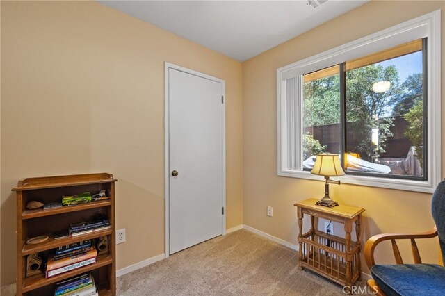 3113 Raccoon Dr, Lake Isabella, CA 93240 - photo 31
