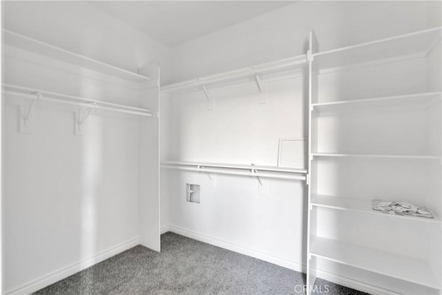 6693 Banyan Ave, Hesperia, CA 92345 - spacious closet with carpet