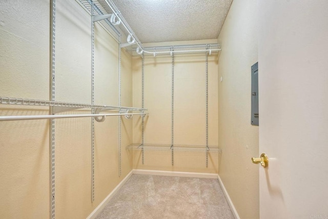 2564 Navarra Dr Unit 115, Carlsbad, CA 92009 - walk in closet featuring carpet and electric panel
