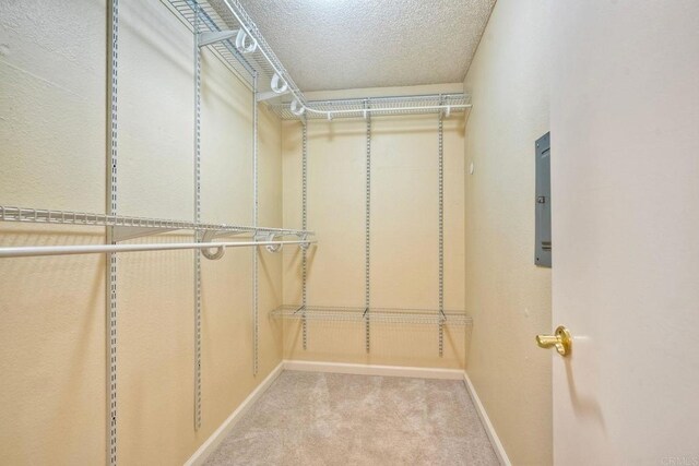 2564 Navarra Dr Unit 115, Carlsbad, CA 92009 - spacious closet featuring carpet flooring