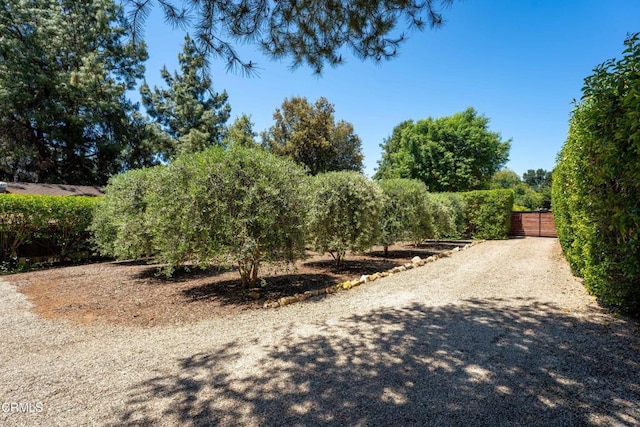 908 Tico Rd, Ojai, CA 93023 - photo 45
