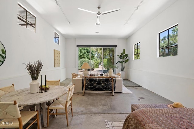908 Tico Rd, Ojai, CA 93023 - photo 34