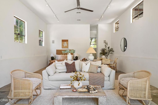 908 Tico Rd, Ojai, CA 93023 - photo 29