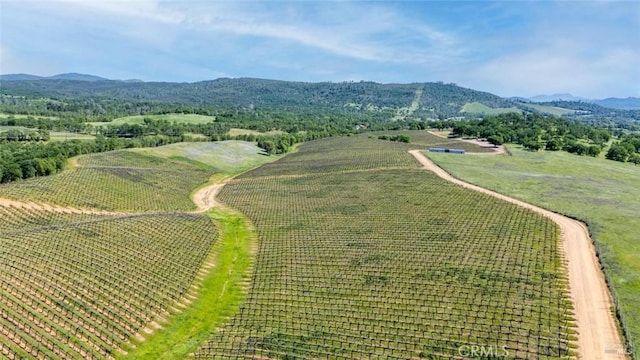 895 State Highway 53, Clearlake, CA 95422 - photo 20