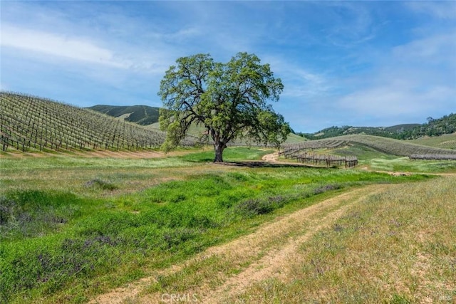 895 State Highway 53, Clearlake, CA 95422 - photo 18