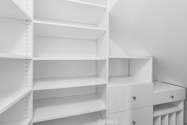 61 Jade Flower, Irvine, CA 92620 - view of walk in closet