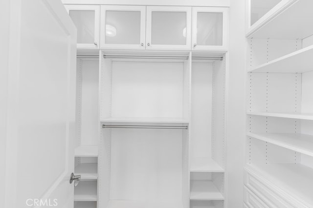 61 Jade Flower, Irvine, CA 92620 - view of spacious closet