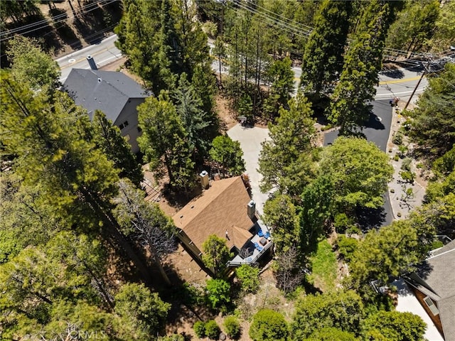 635 Grass Valley Rd, Lake Arrowhead, CA 92352 - bird's eye view