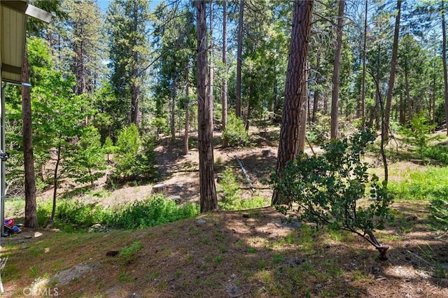 635 Grass Valley Rd, Lake Arrowhead, CA 92352 - view of yard