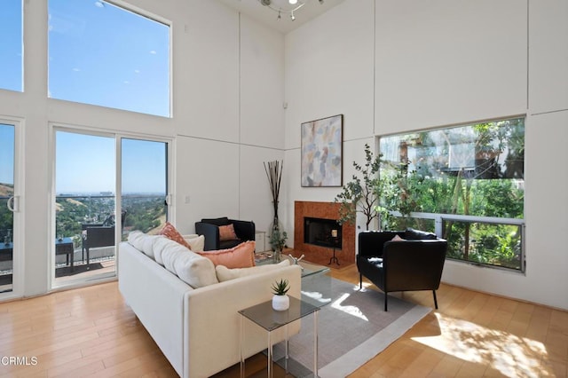 1196 Montecito Dr, Los Angeles, CA 90031 - living room with hardwood / wood-style floors, a fireplace, healthy amount of natural light, and a towering ceiling