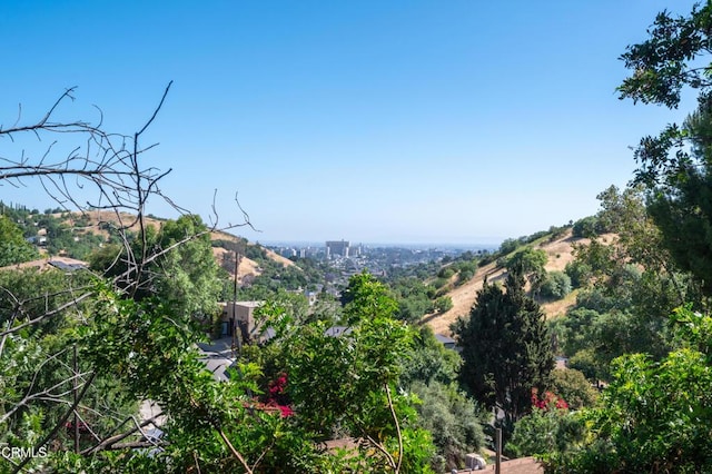 1196 Montecito Dr, Los Angeles, CA 90031 - mountain view