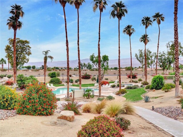 78209 Indigo Dr, La Quinta, CA 92253 - photo 33
