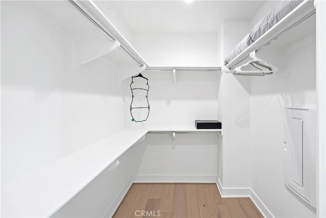 113 Imagination Trl, Irvine, CA 92620 - spacious closet with light wood-style flooring