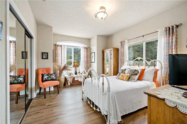 10204 Mount Olympus Valley Rd, Fallbrook, CA 92028 - bedroom featuring multiple windows, light wood-style floors, and a closet