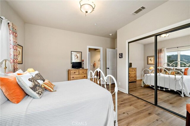 10204 Mount Olympus Valley Rd, Fallbrook, CA 92028 - bedroom with light wood finished floors and a closet