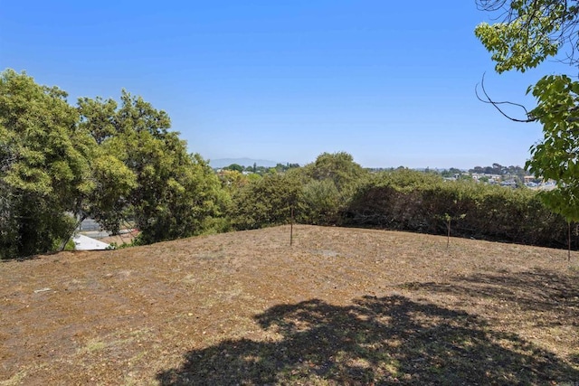 2125 Prospect St, National City, CA 91950 - view of yard