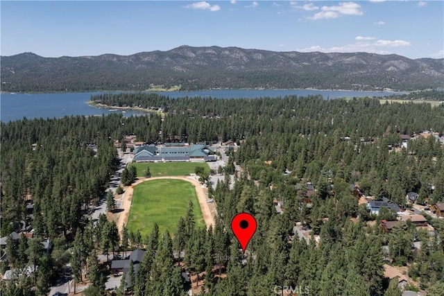 41318 Oak St, Big Bear Lake, CA 92315 - photo 58