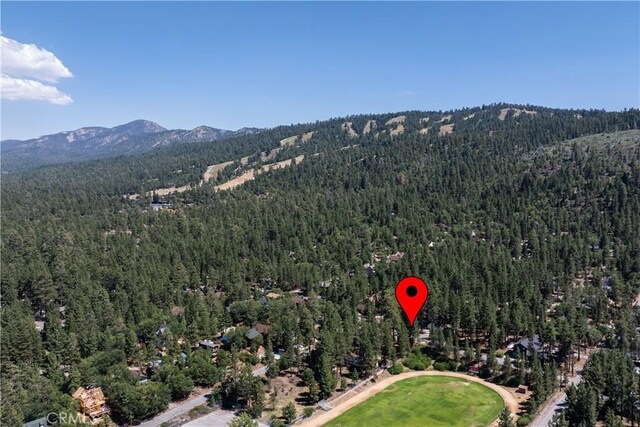 41318 Oak St, Big Bear Lake, CA 92315 - photo 7